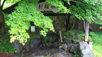 DSC04848.jpg