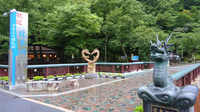 DSC05017.jpg